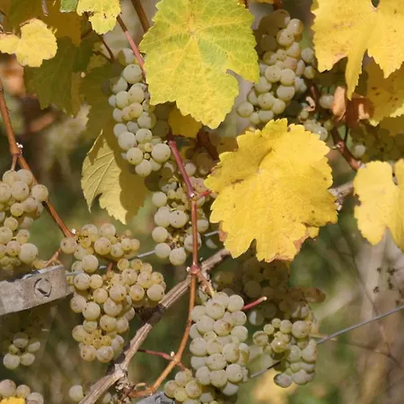 アパート Goeres *